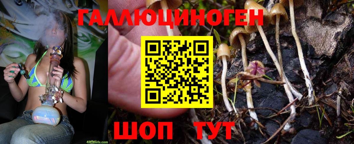 Галлюциногенные грибы Cubensis  Вход с VPN  Йошкар-Ола  Псилоцибиновые грибы ЛСД 